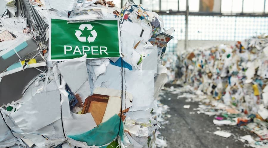 Understanding Paper Waste
